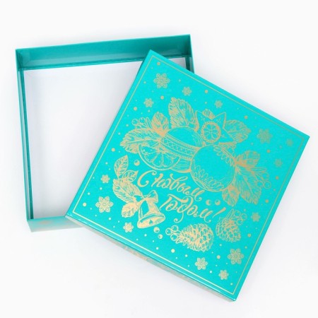 Pink box ’winter inspiration’ 22.3*22.3*6.3, Green-3