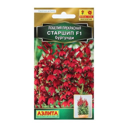 Lobelia flowers "foreman", F1, Burgundy, test tube, 5 pcs