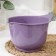 Mixer capacity, 1.9 l, color mix