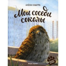 My neighbors are falcons. Kashura A.
