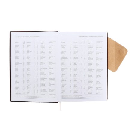 Diary 205x150 mm 168 sheets, leatherette, unit 70 g/m2, liesse, magnetic refuge, brown-8