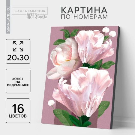 Picture on numbers on a canvas with a subframe "Flowers for the soul", 20x30 cm