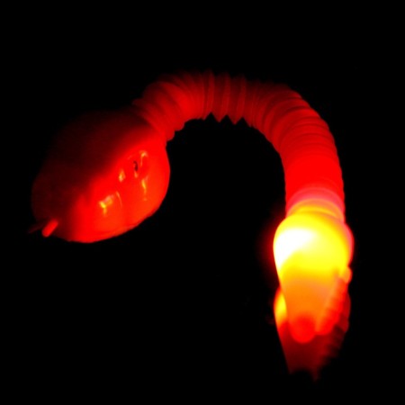 Developing toy "snake" light, color mix-4