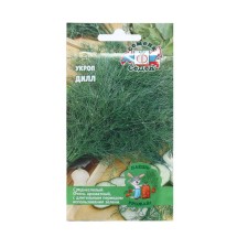 Seeds of dill 