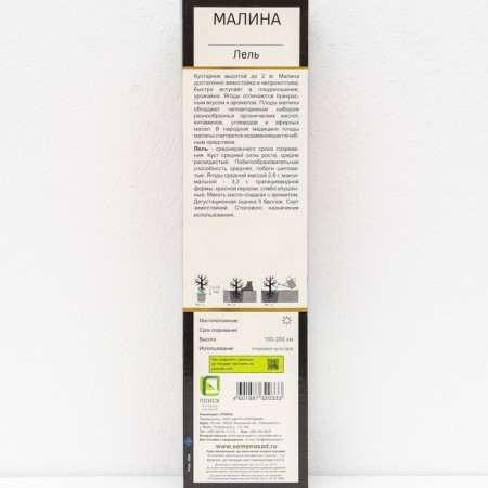 Raspberry promising varieties "Lel", 1 pc, tube, spring 2025-2