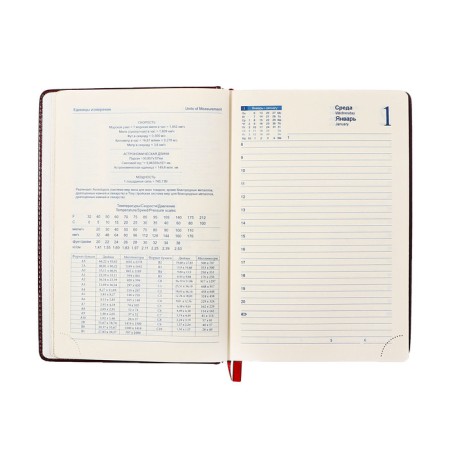 Dated diary of 2025, A5, 168 sheets in the ruler, leatherette "Nebraska", gold cut, burgundy-10