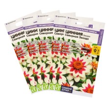 Seeds of Flowers Zinnia Zakhara 