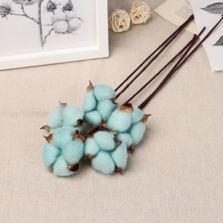 Sukhotzet "Cotton" D-5 cm, 30 cm, blue