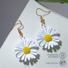 Earrings Metal 