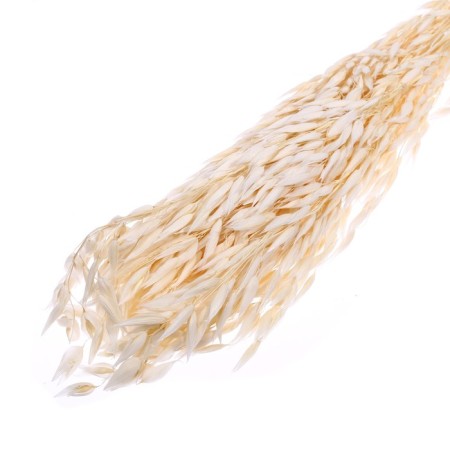 Sukhotzet "Sowing", White, 50 g in packaging-2