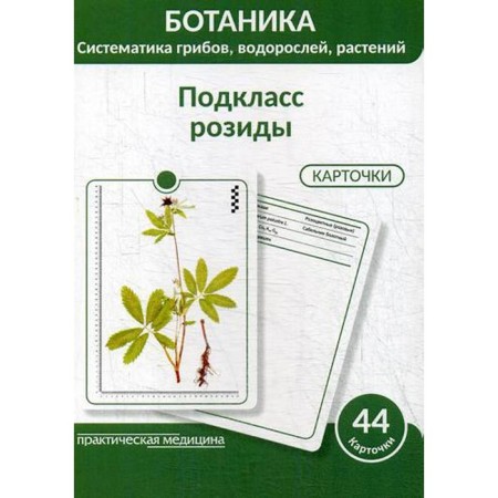 Botany. Systematics of mushrooms, algae, plants. Rosid's subclass