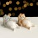 Souvenir "Lazy cat" 4x4x7 cm, porcelain color mix