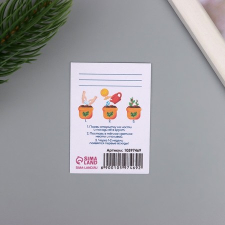 Postcard with seeds "grow itself" "Happy New Year" 5*7cm-2
