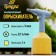 Sprayer battery tundra, 3.7 V, 2 ah, 1 l, 0.7 l/min, flexible nozzle
