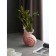 The table is a "shell 4", pink. Mix