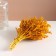 Set of dried flowers "chandra", banch length 30 (+/- 6 cm), yellow