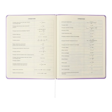 Universal diary for grade 1-11 Lovely Girl, solid cover, artificial leather, foam rubber, silk-screen printing, liesse, 80 g/m2-8
