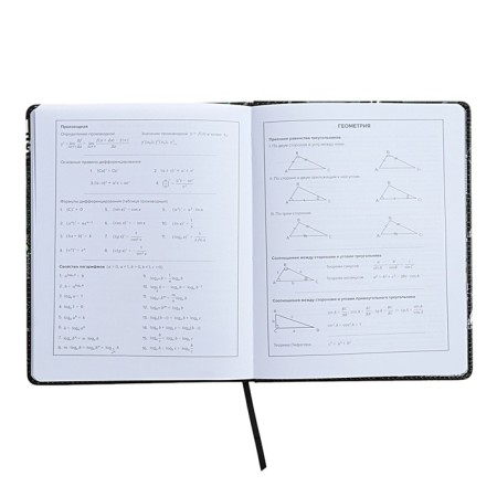 Universal Diary Grade 1-11, 48 sheets "Buntar spirit", a solid cover of artificial leather, lies, universal cheat sheet, block 80 g/m2-8