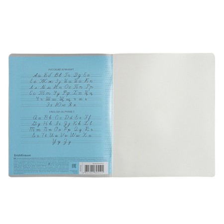 Notebook 12 sheets frequent oblique in the Erichkrause line "Coverpro classics", with a plastic cover, 5v, mix-5