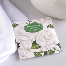 Sasha Aromatic 