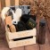 Set of Gift Ethel Man Rules, towel 70x140cm, towel 30x60cm and accessories