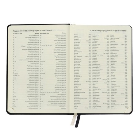 Dated diary 2024 A5 176 sheets, Devente.emblem, solid cover of artificial leather, lies, cream block 70 g/m2, black-7