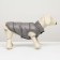 Dog jacket two -sided with print, size 8 (ds 23 cm, og 30, osh 22 cm), gray