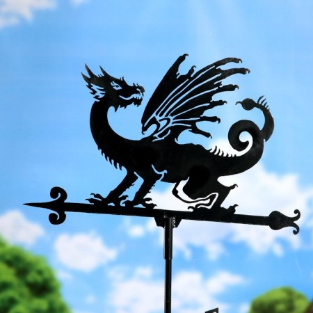 Woodpecker "Dragon" Big 500x600-1