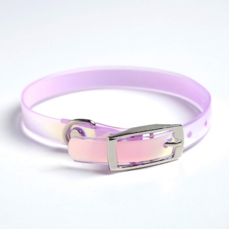 A collar for dogs and cats with Fasteks "Neon", 30 x 1 cm-1