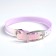 A collar for dogs and cats with Fasteks "Neon", 30 x 1 cm