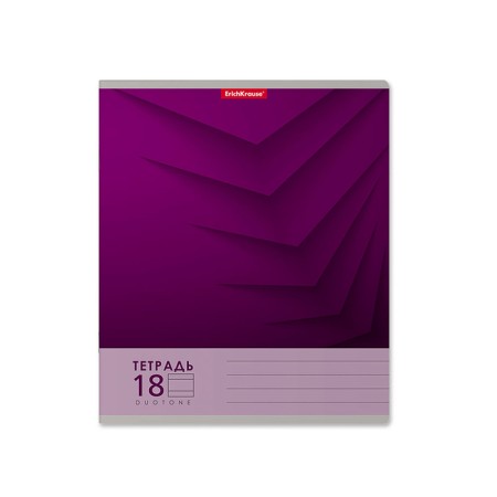A notebook of 18 sheets in the Erichkrause "Duotone Next", the cover coated cardboard, an offset block 100% whiteness, mix-3