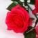Artificial flowers "Rosa Zhanna" 10x61 cm, raspberry