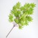 Decor "Leaves on the branch" Color green
