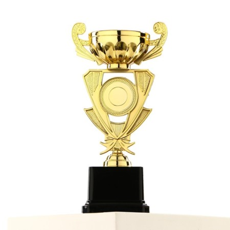 Cup 182C, award figure, gold, plastic stand, 21 × 10.7 × 7.5 cm.-2