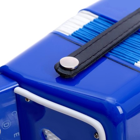 Musical toy "Harmony", blue color-4