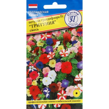 Grandifloor flowers "Trithunia", mixture, F1, 10 DR