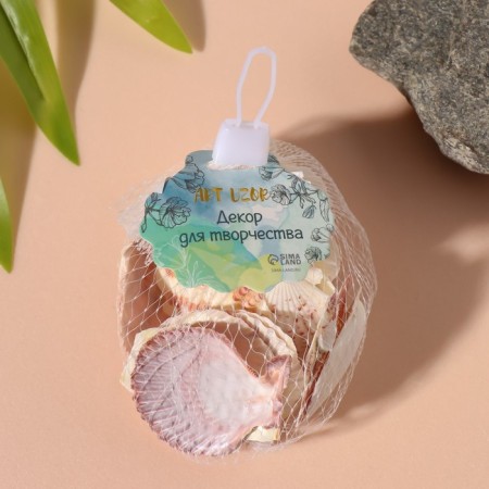 Treasurous decorative shells "scallop" set of 100 grams-3
