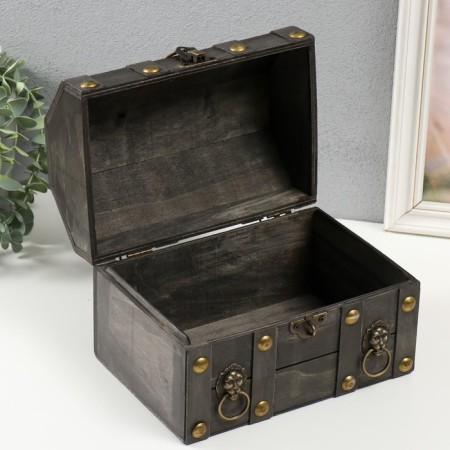 Casket chest "Leo. With rivets" Steel 16x15.5x22 cm-2