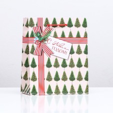 Gift package 