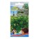 Coriander seeds "Borodino Field", 2 g