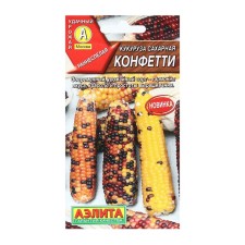 Sugar corn 