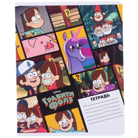 Notebook in a line of 24 sheets, 5 types of mix, cover coated cardboard, gravity farz-6