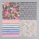 A set of scrapbooking paper 12 sheets 12 Summer Mood projects 160 grams 15.2x15.2 cm