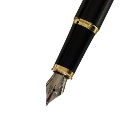 Gift feathers Calligrata, in the leatherette case PB IM, black body with gold-3