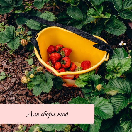 Container for collecting berries, 3 l, "apples", yellow-4