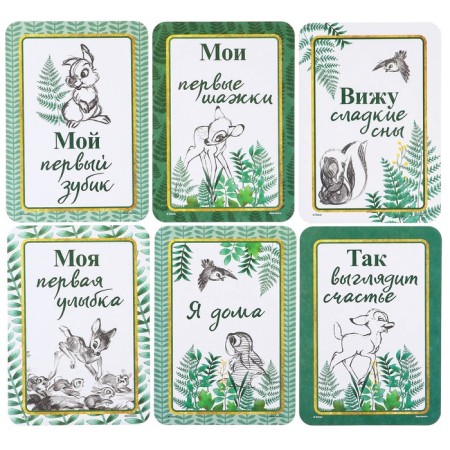 A set of cards for photo shoots, Disney-2