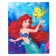 Diamond mosaic, 20x25 cm, princesses