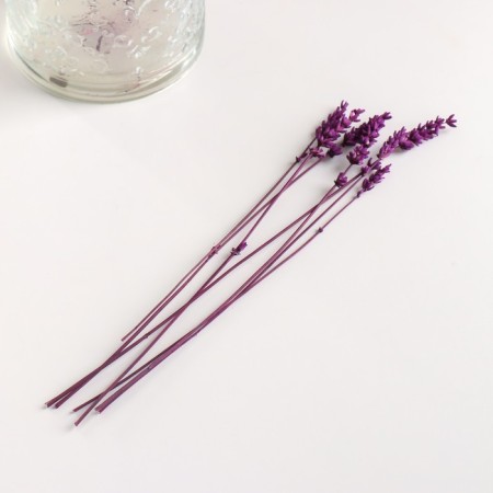 Set of dried flowers "lavender" banch length 30 (+/- 6 cm), lilac-3