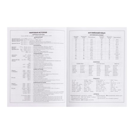 Diary for grades 5-11 "Dragon", integral cover, glossy lamination, 48 sheets-10