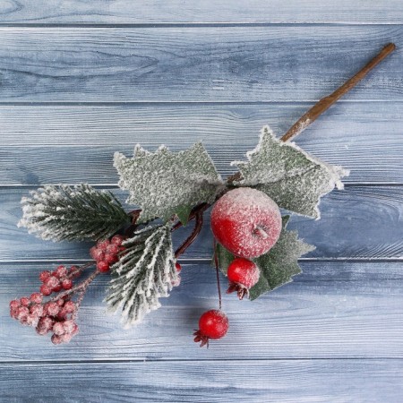 Decor "Winter Dreams" Apple Kalina Red, 20 cm